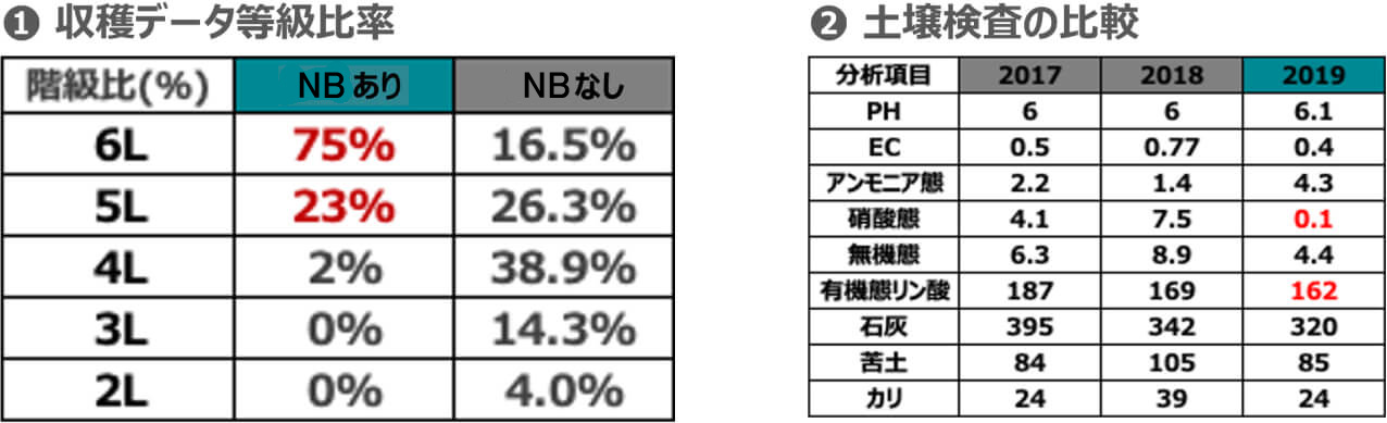 収穫データ等級比率　6L：NBなし16.5%→NBあり75%、5L：NBなし26.3%→NBあり23%、土壌検査の比較もNB導入後硝酸態と有機態リン酸が減少