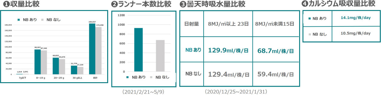 収量比較グラフ・ランナー本数比較グラフ・曇天時吸水量比較グラフ・カルシウム吸収量比較グラフ。いずれにおいてもNBありの方がNBなしより好成績となった