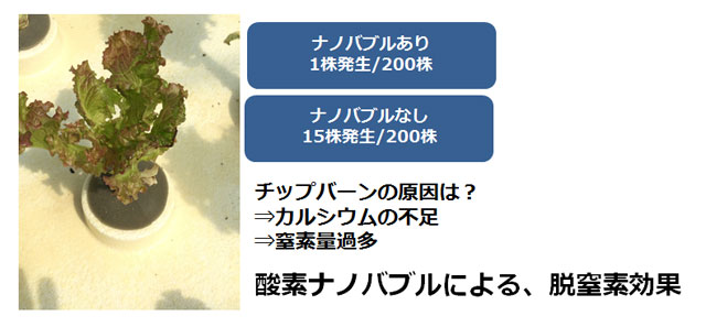 「水で日本の農業が変わる」ナノバブルウォーターe-sodachi（いいそだち）のご紹介│画像3